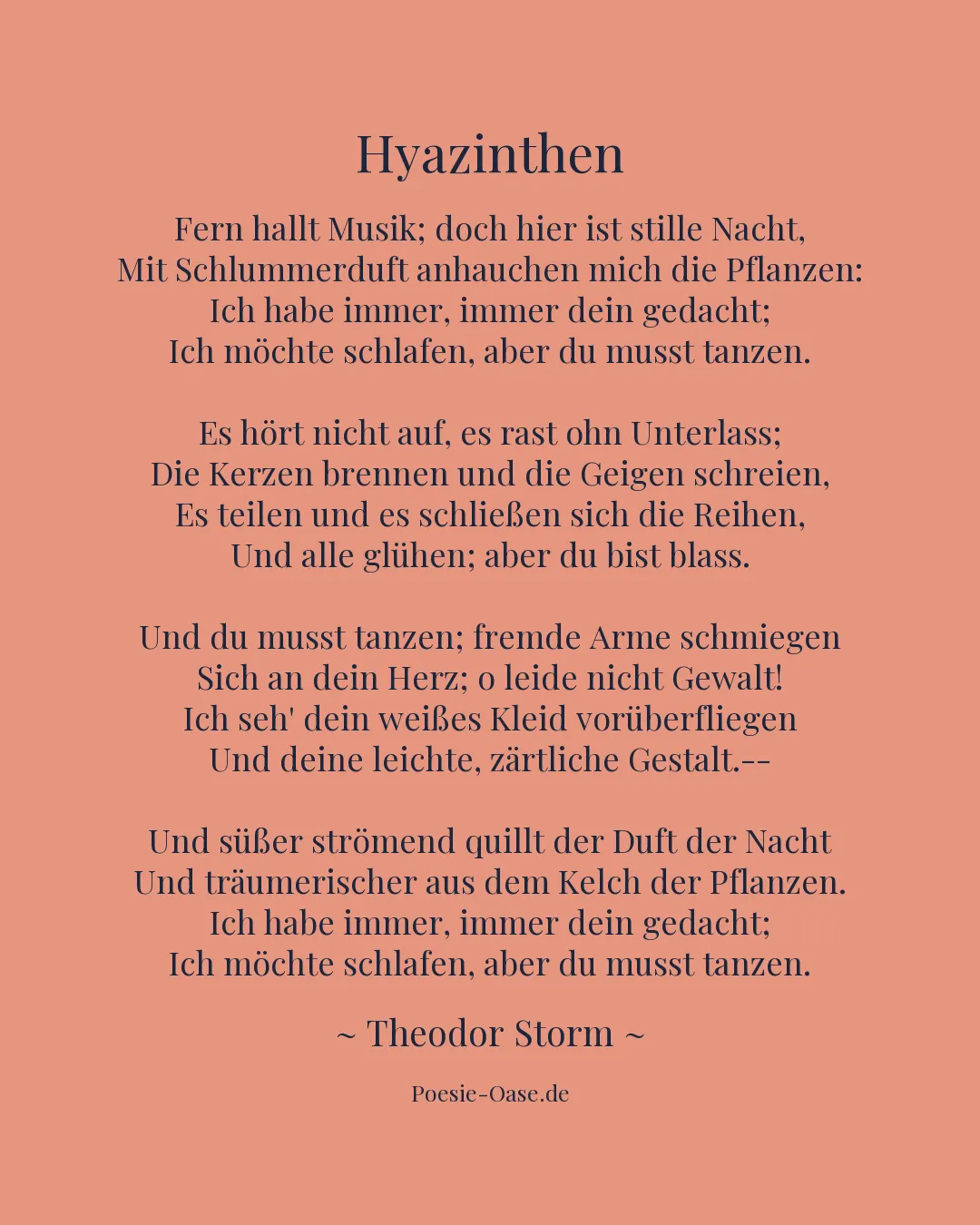 Illustration zu Hyazinthen