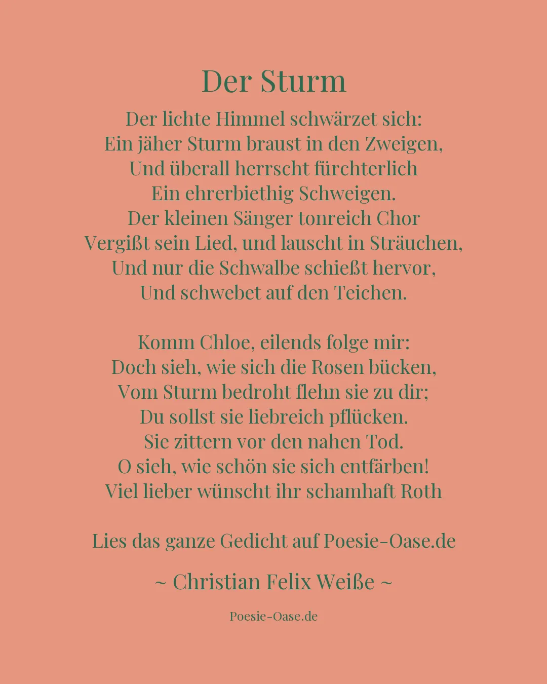 Illustration zu Der Sturm