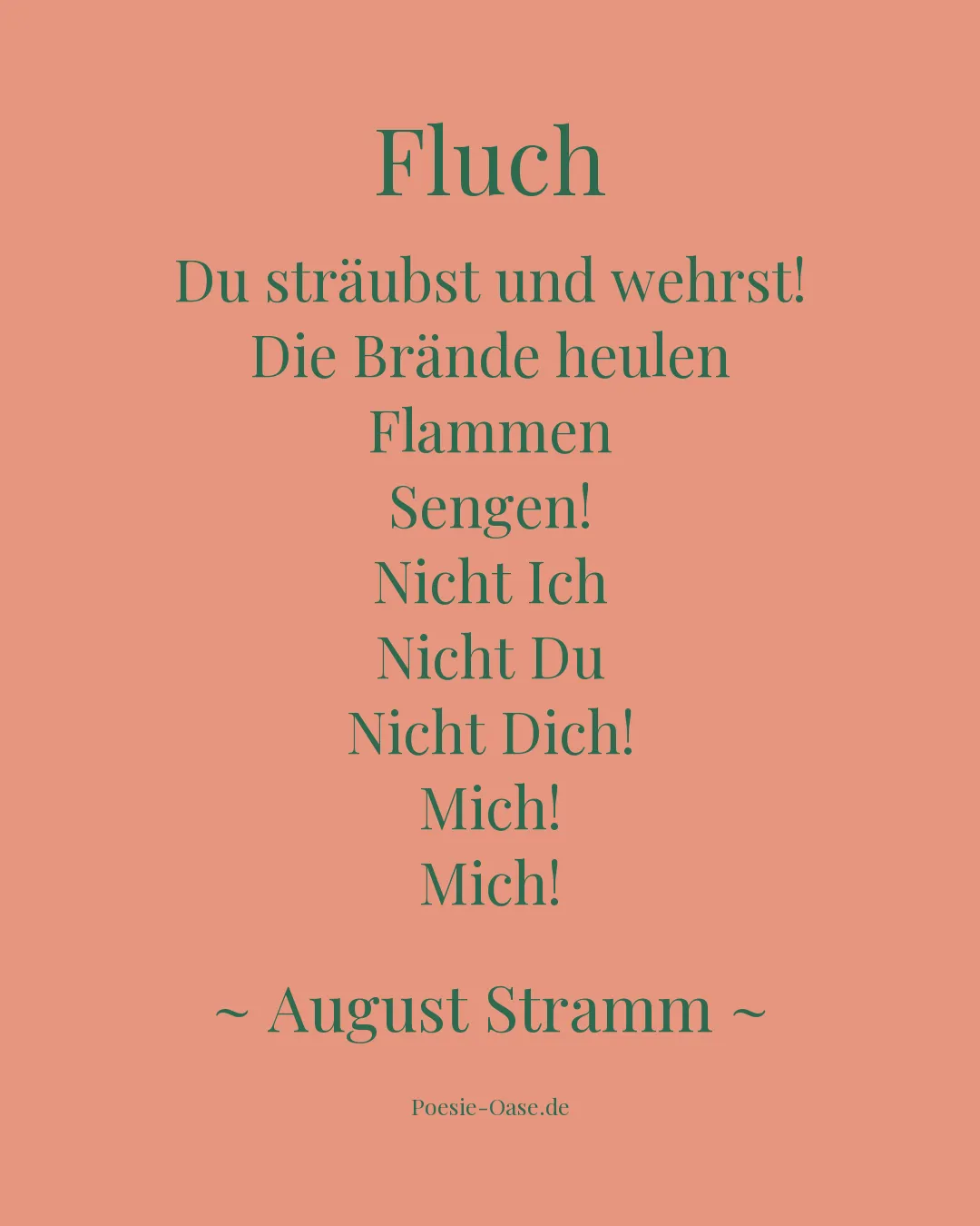 Illustration zu Fluch