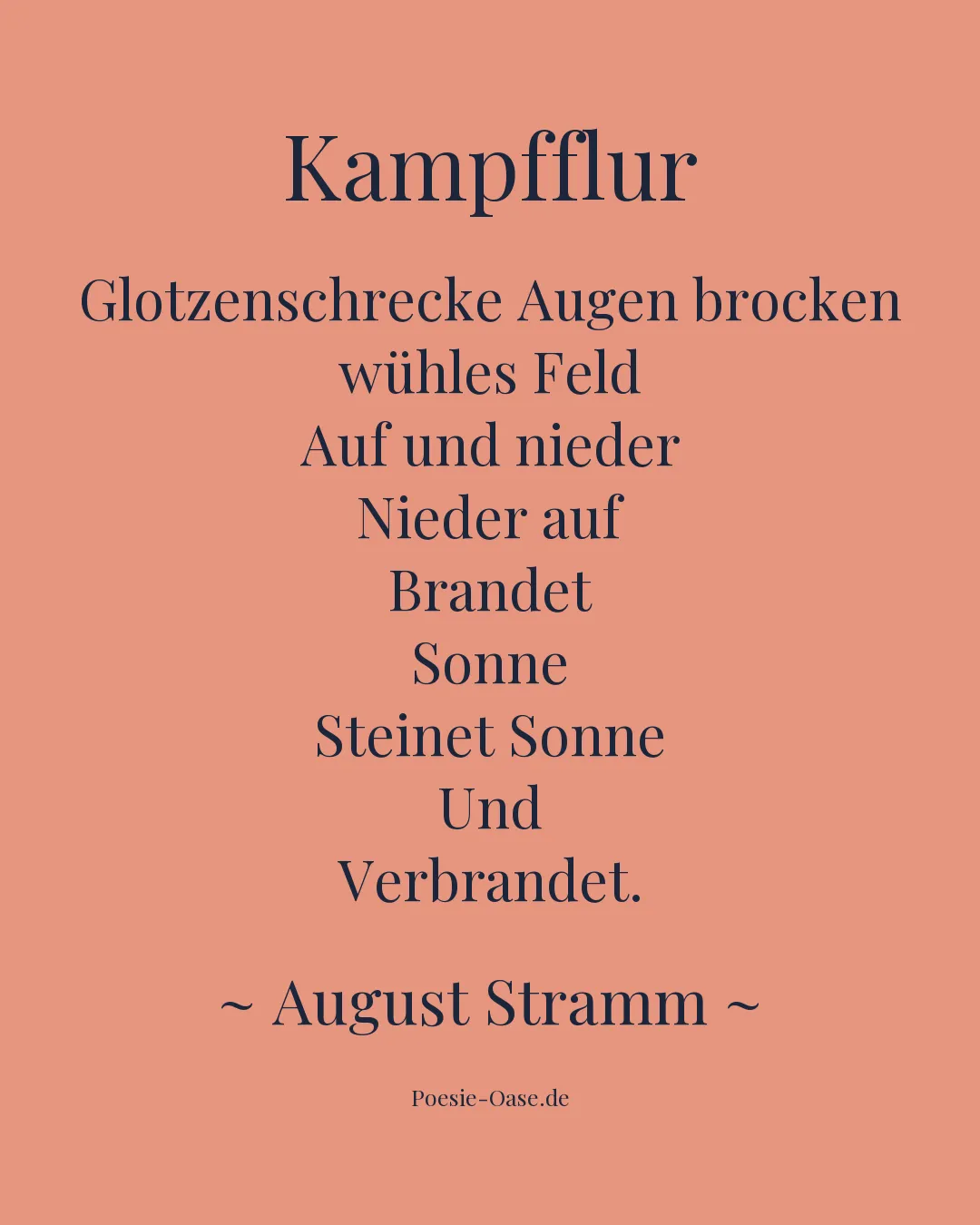Illustration zu Kampfflur