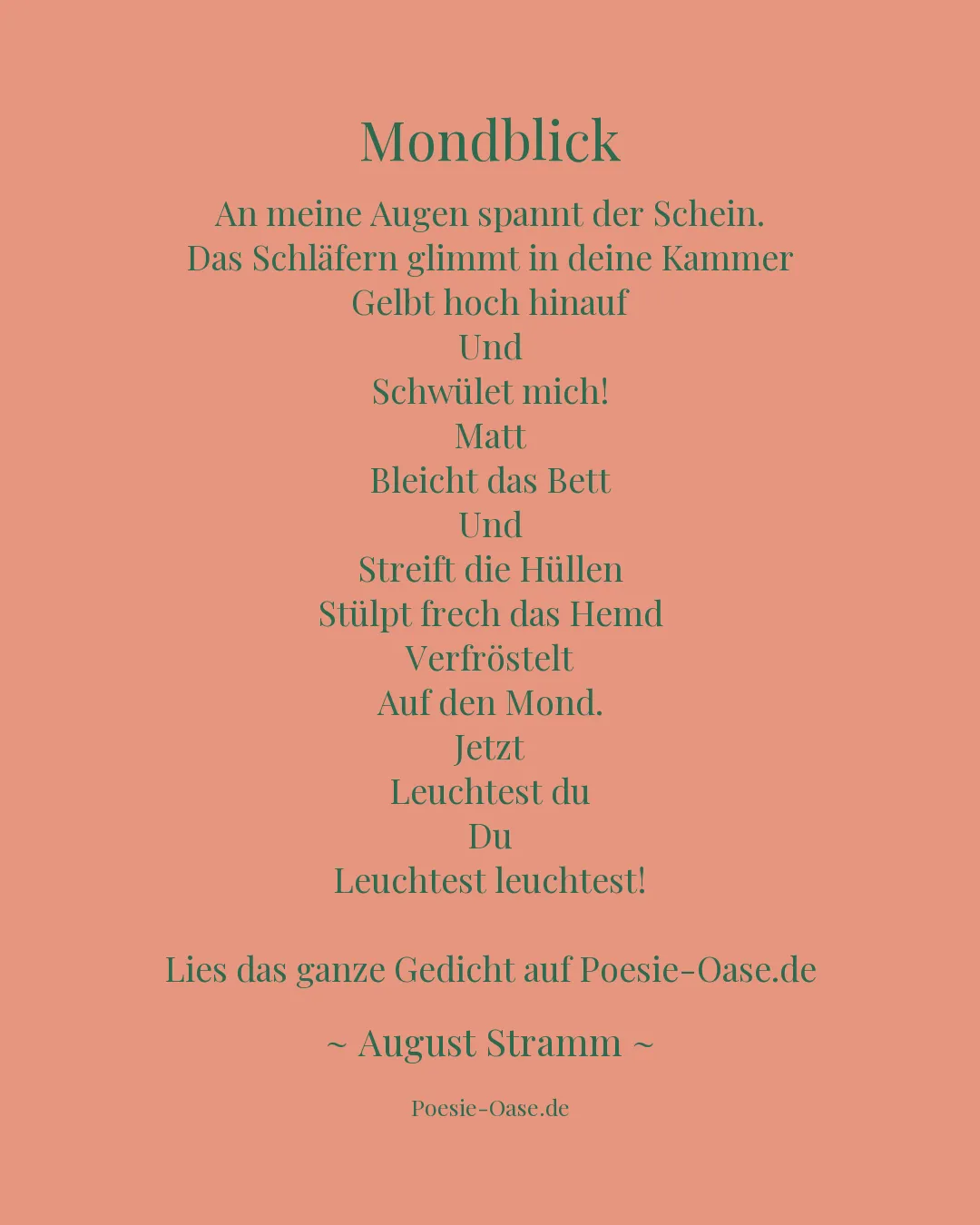 Illustration zu Mondblick