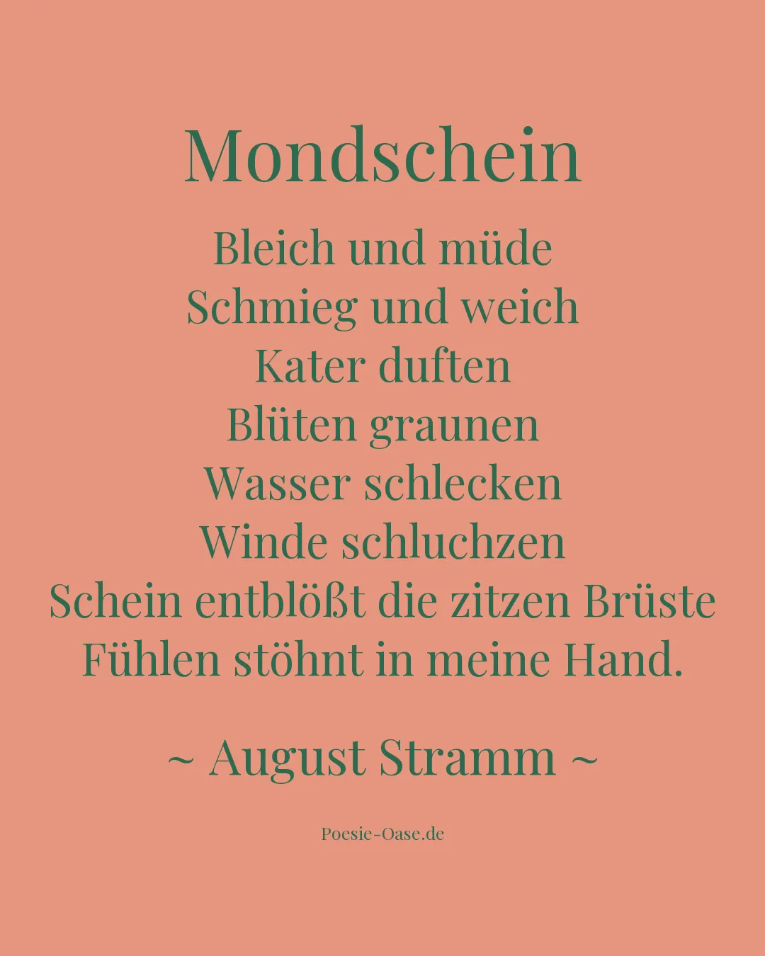 Illustration zu Mondschein