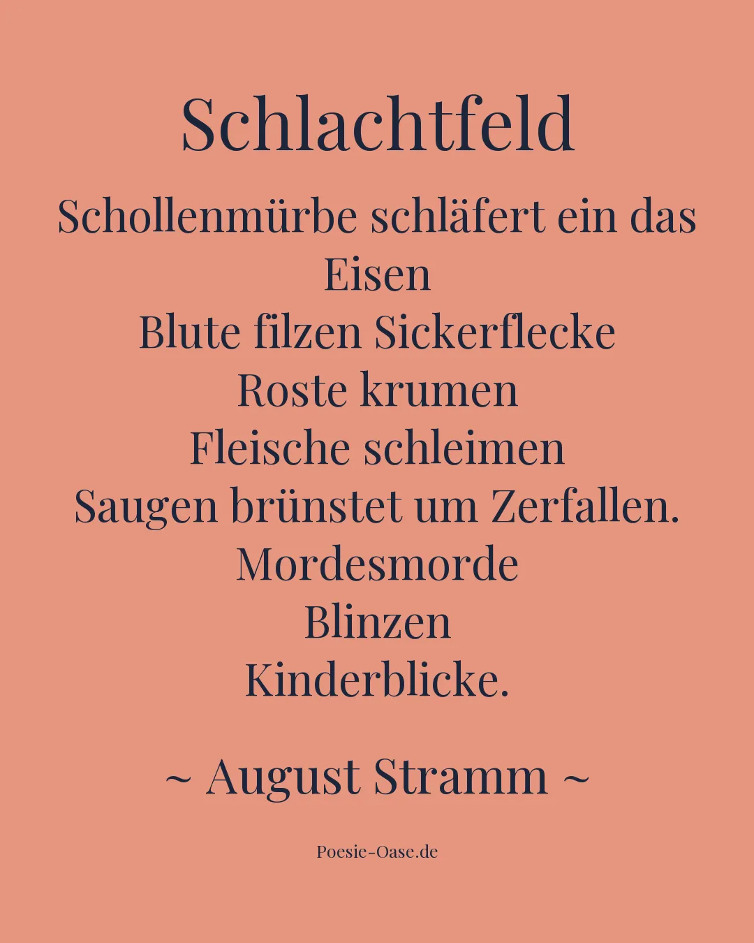 Illustration zu Schlachtfeld