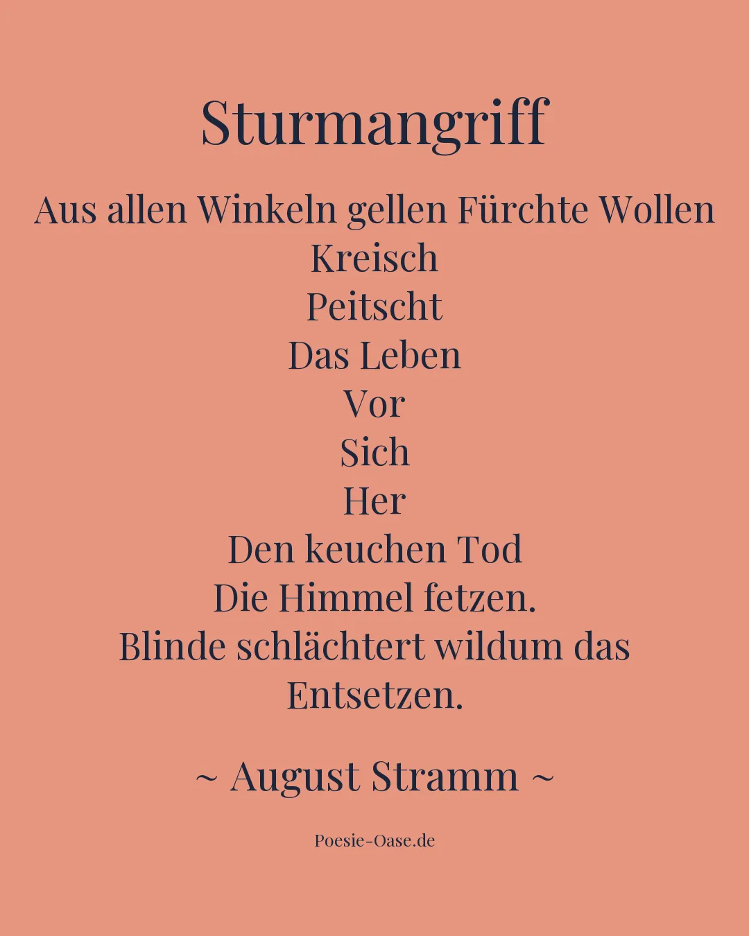 Illustration zu Sturmangriff
