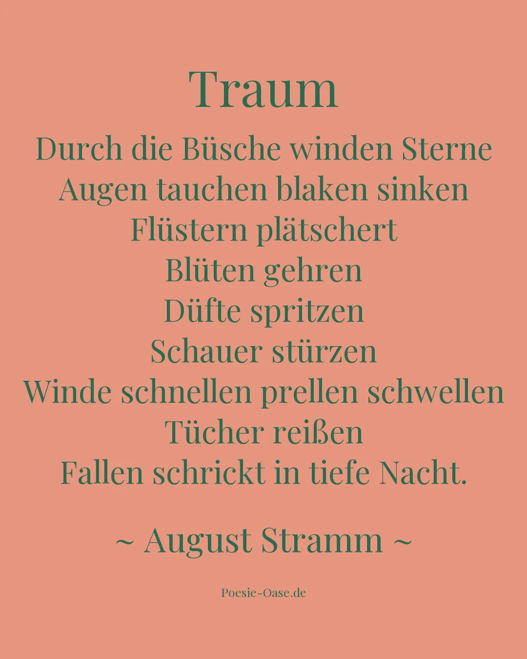 Illustration zu Traum