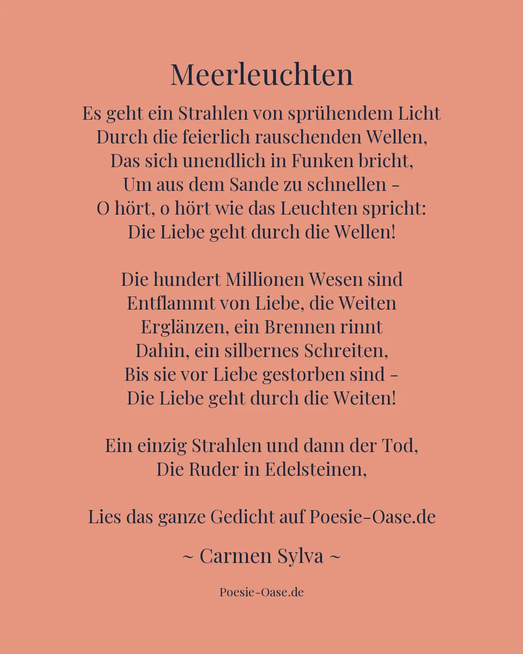 Illustration zu Meerleuchten