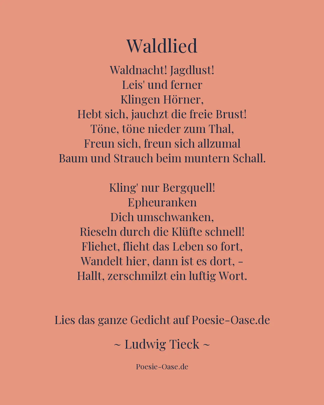 Illustration zu Waldlied