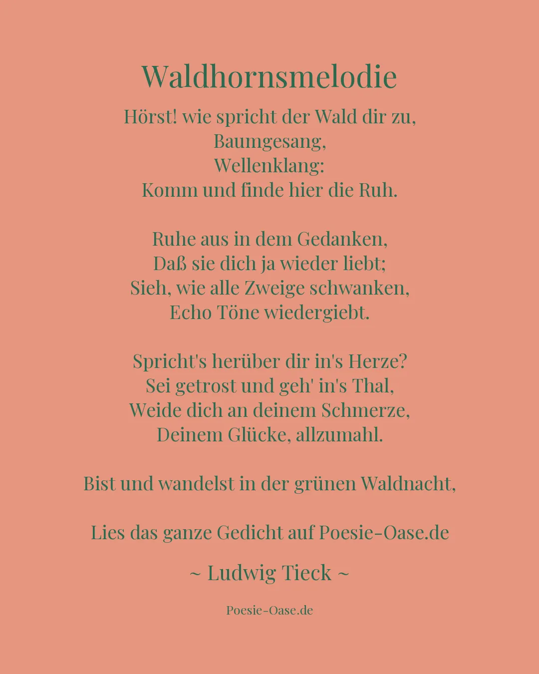 Illustration zu Waldhornsmelodie