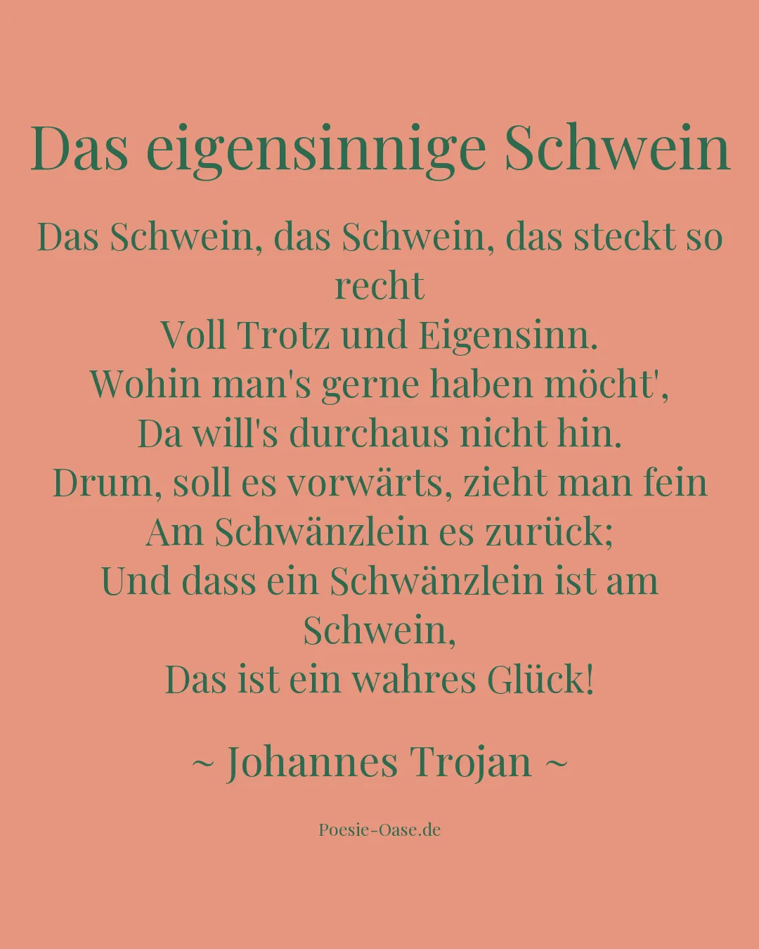 Illustration zu Das eigensinnige Schwein