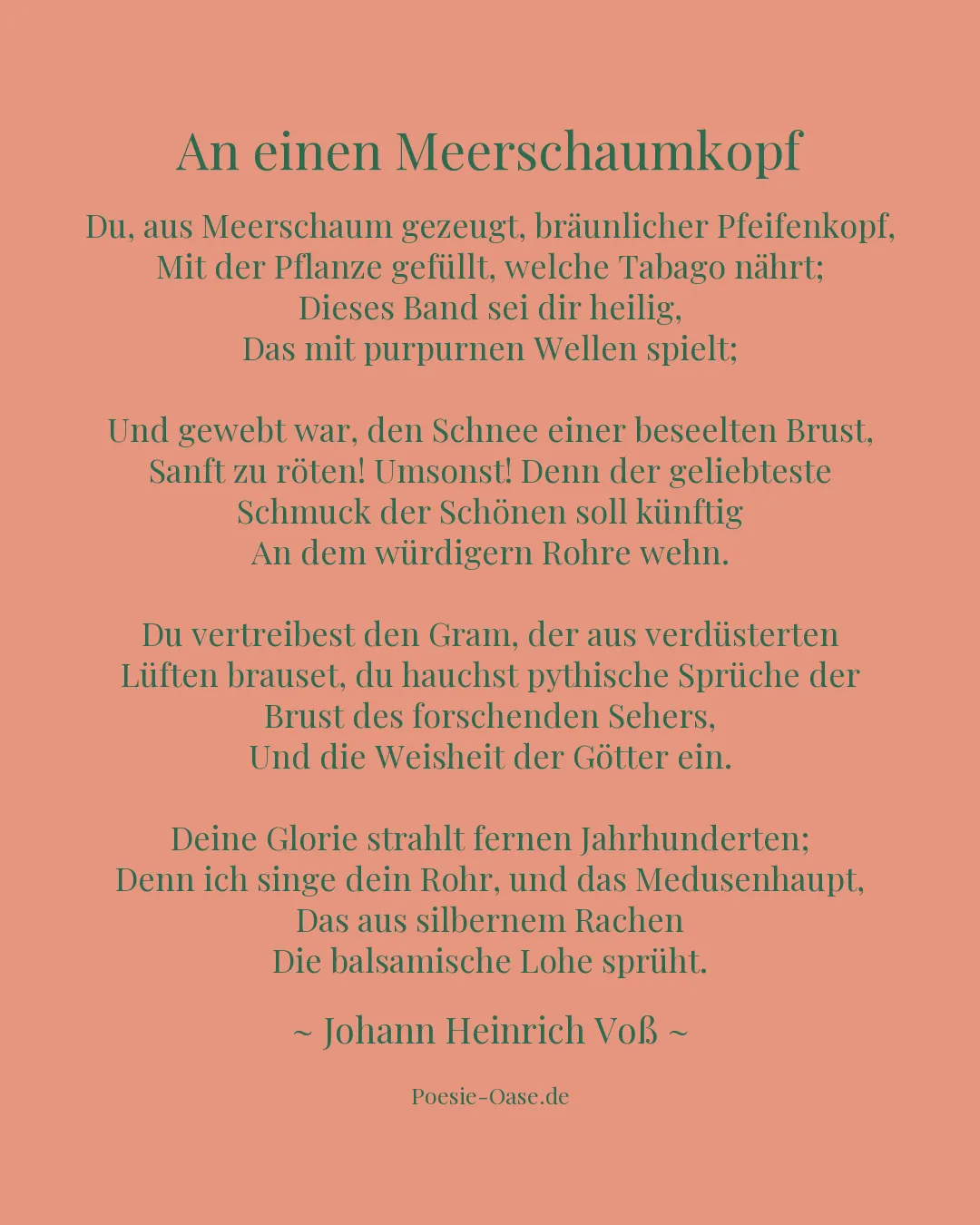 Illustration zu An einen Meerschaumkopf