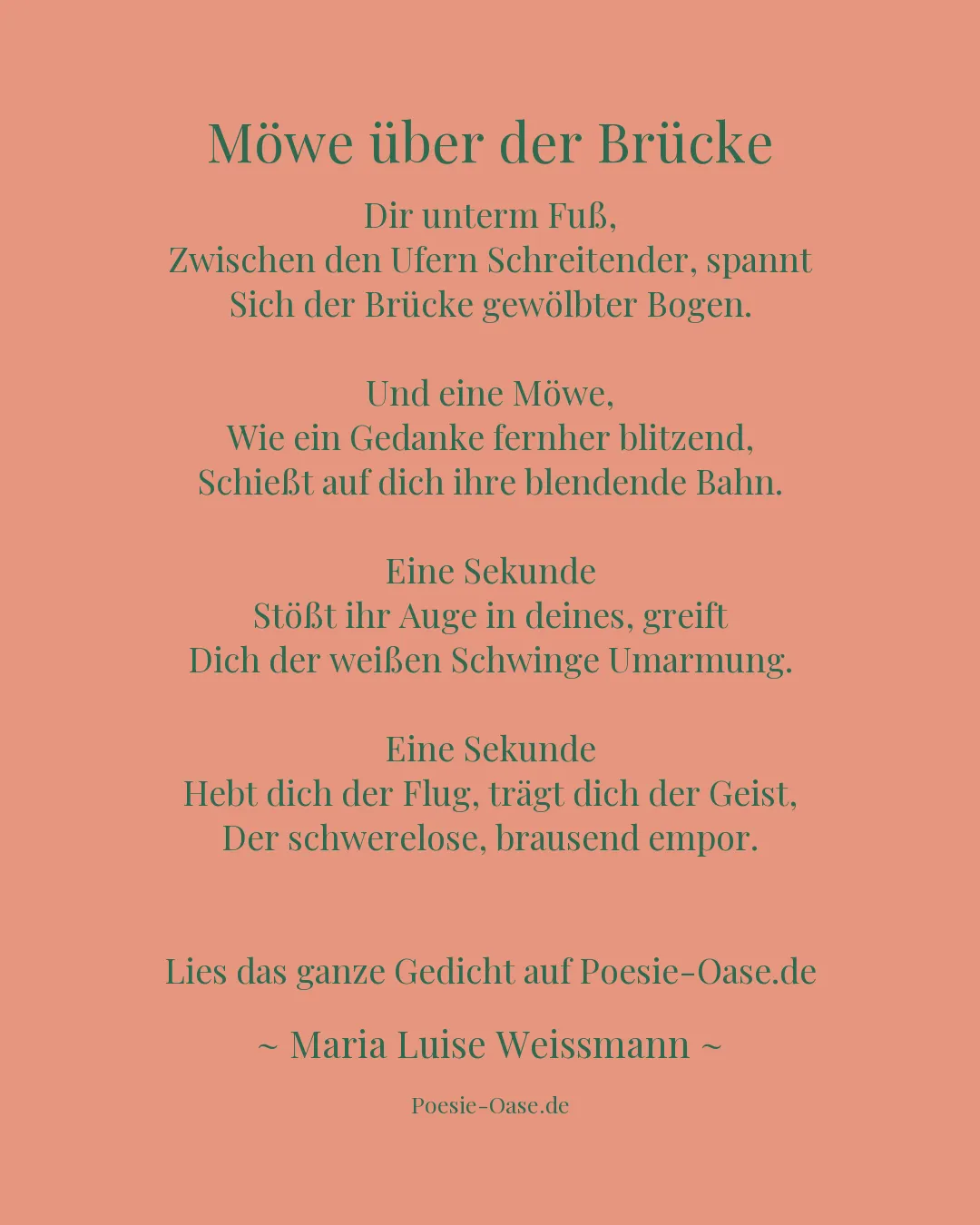 Illustration zu Möwe über der Brücke