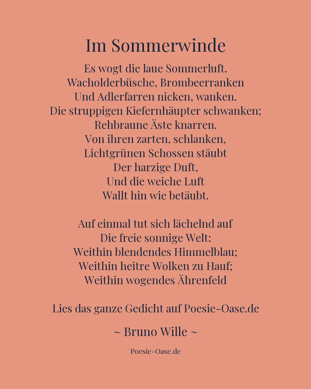 Illustration zu Im Sommerwinde