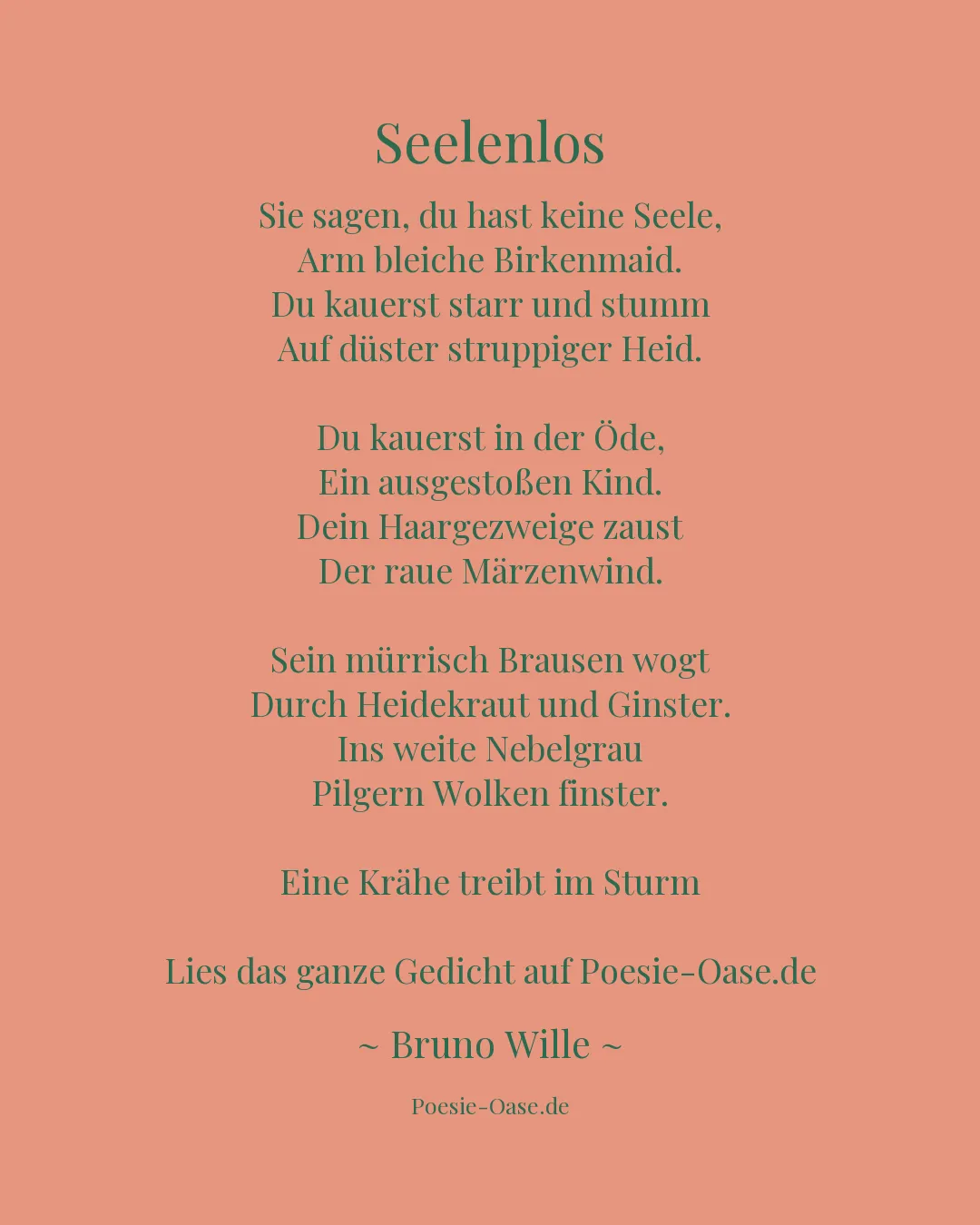 Illustration zu Seelenlos