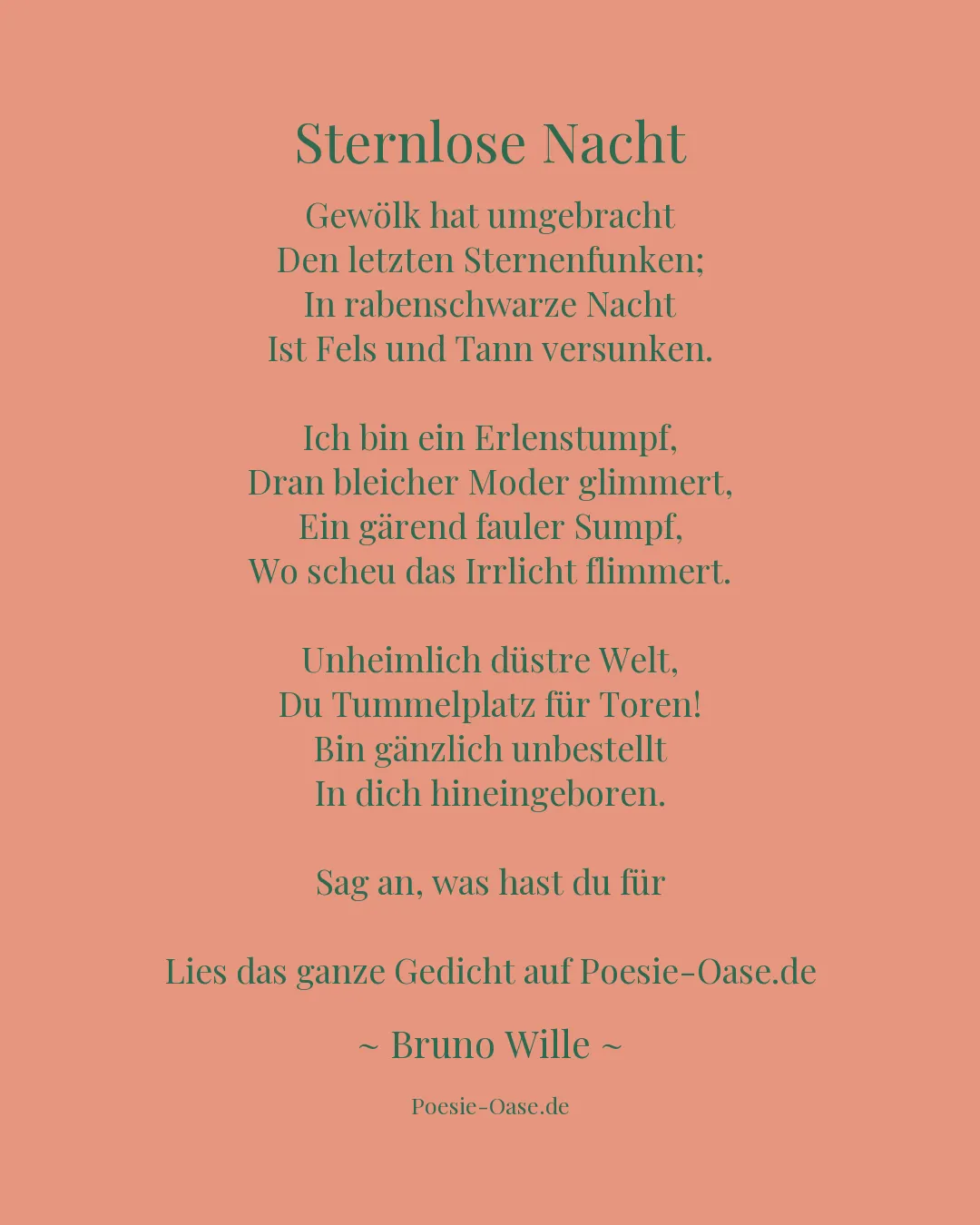Illustration zu Sternlose Nacht