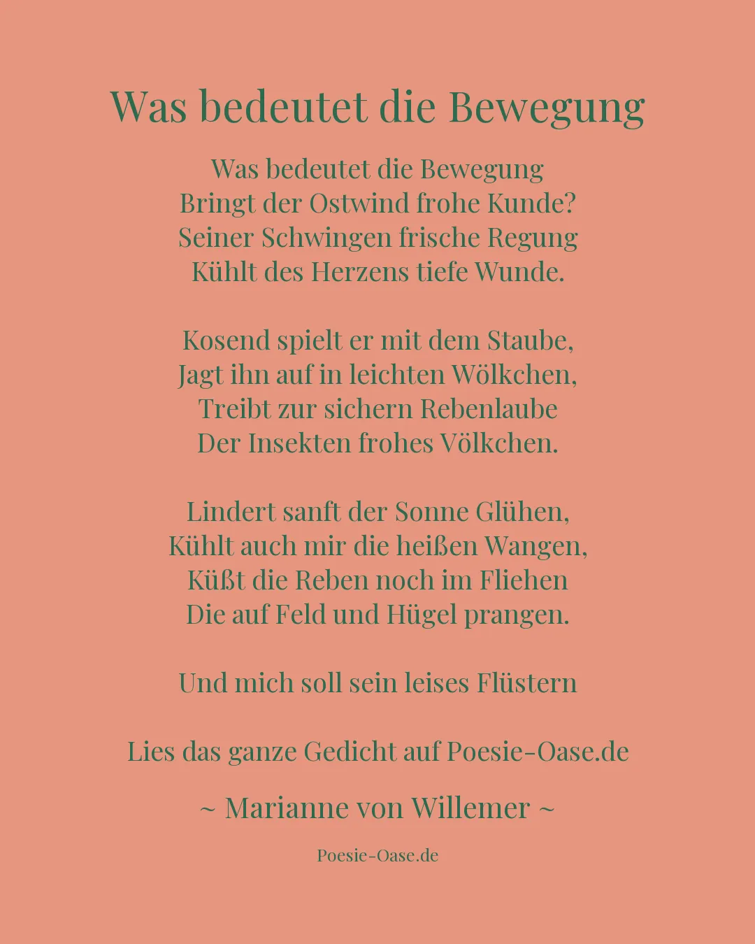 Illustration zu Was bedeutet die Bewegung
