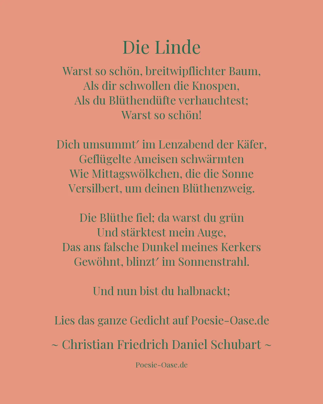 Illustration zu Die Linde
