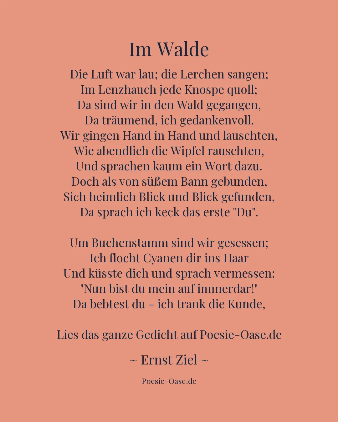 Illustration zu Im Walde
