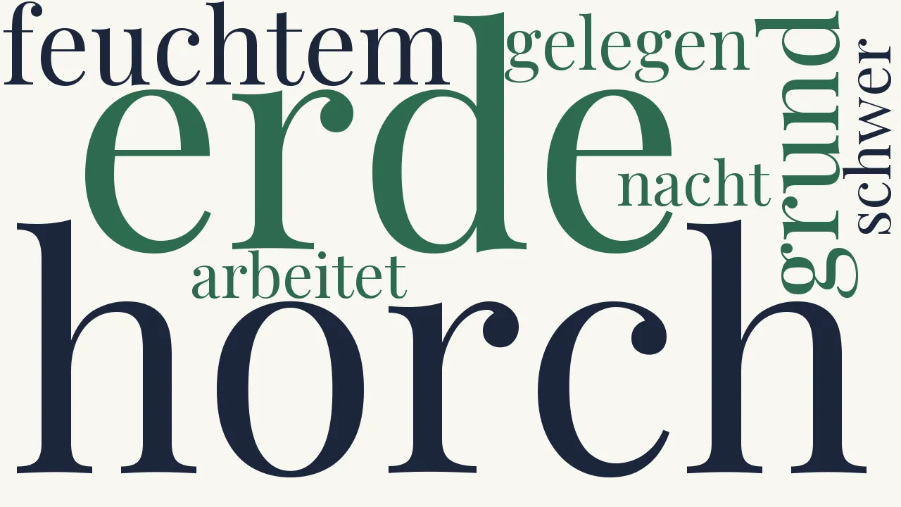 Wortwolke zu Nachts
