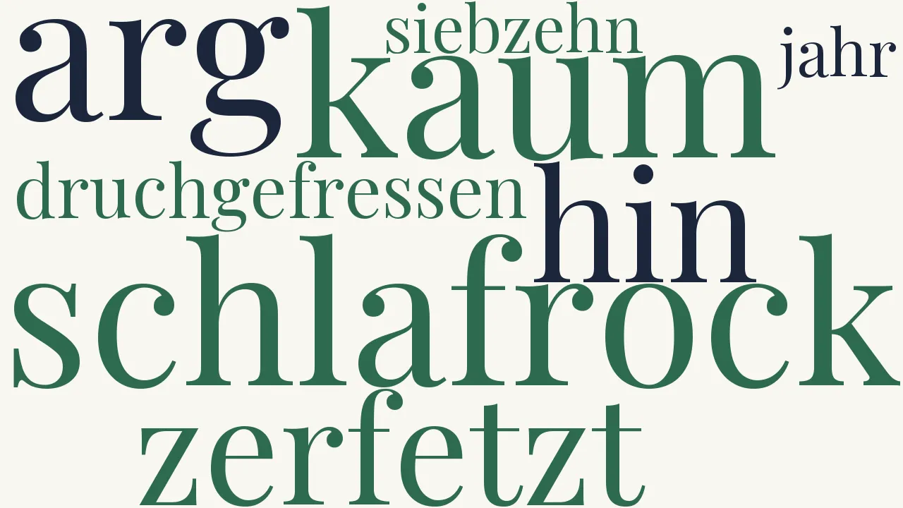 Wortwolke zu Mein Schlafrock