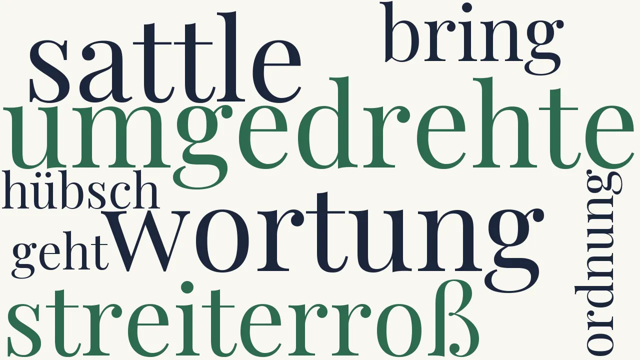 Wortwolke zu Para pacem si vis bellum
