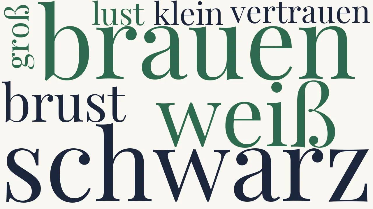 Wortwolke zu Licht und Schatten