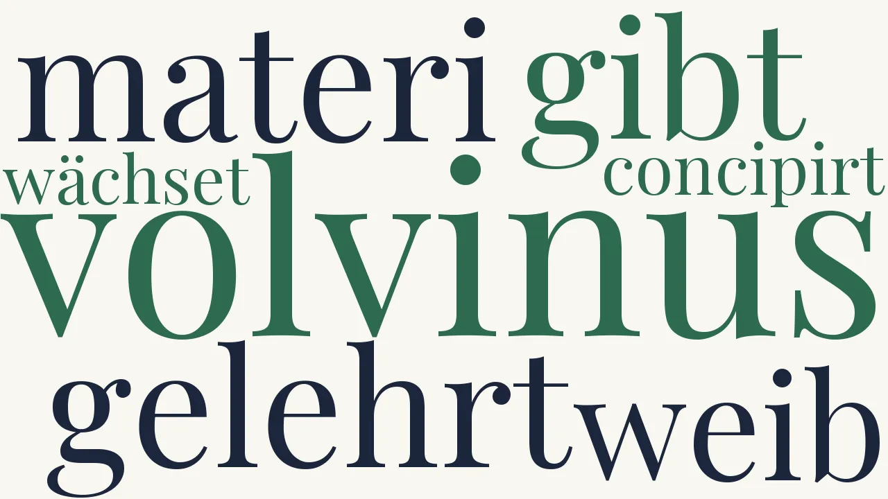 Wortwolke zu Auff Volvinum