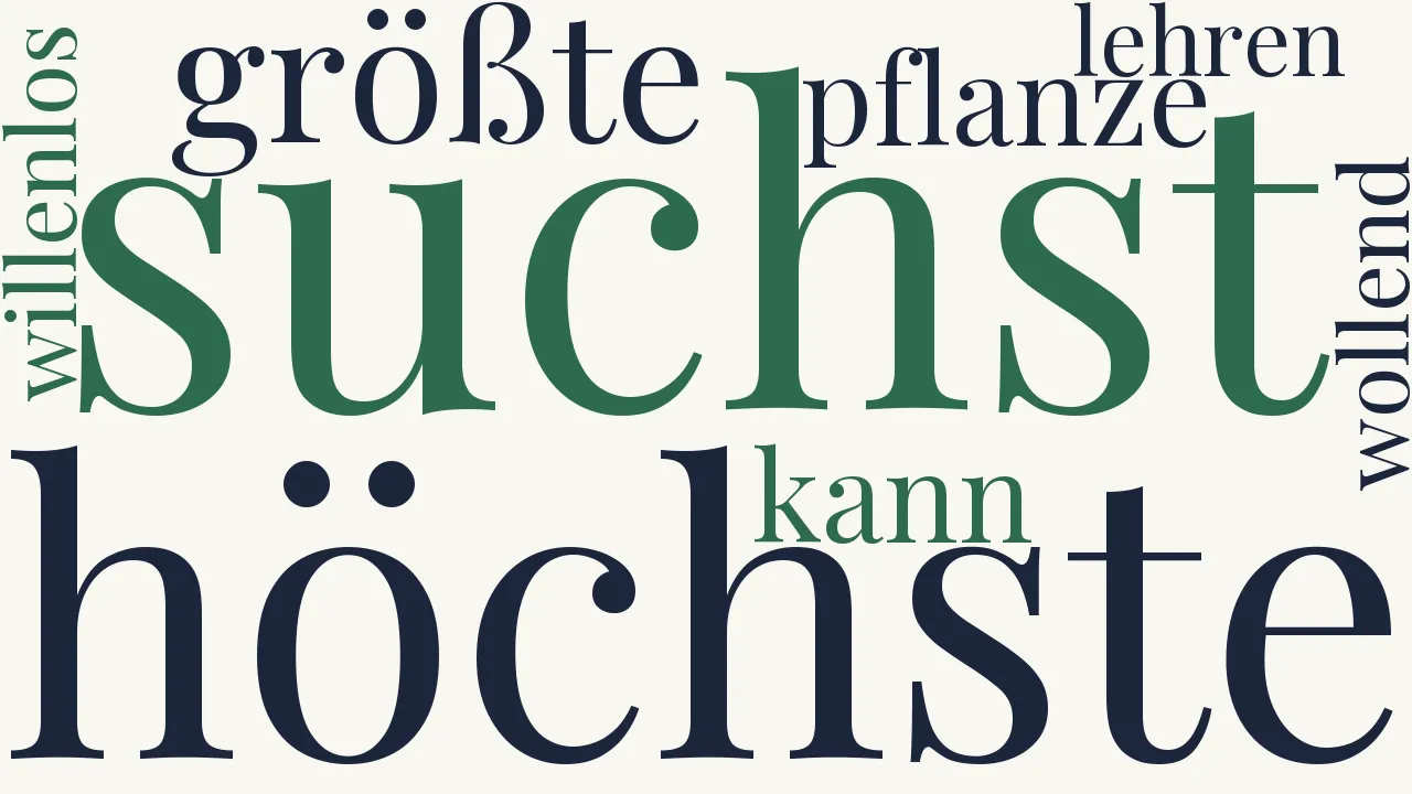 Wortwolke zu Das Höchste