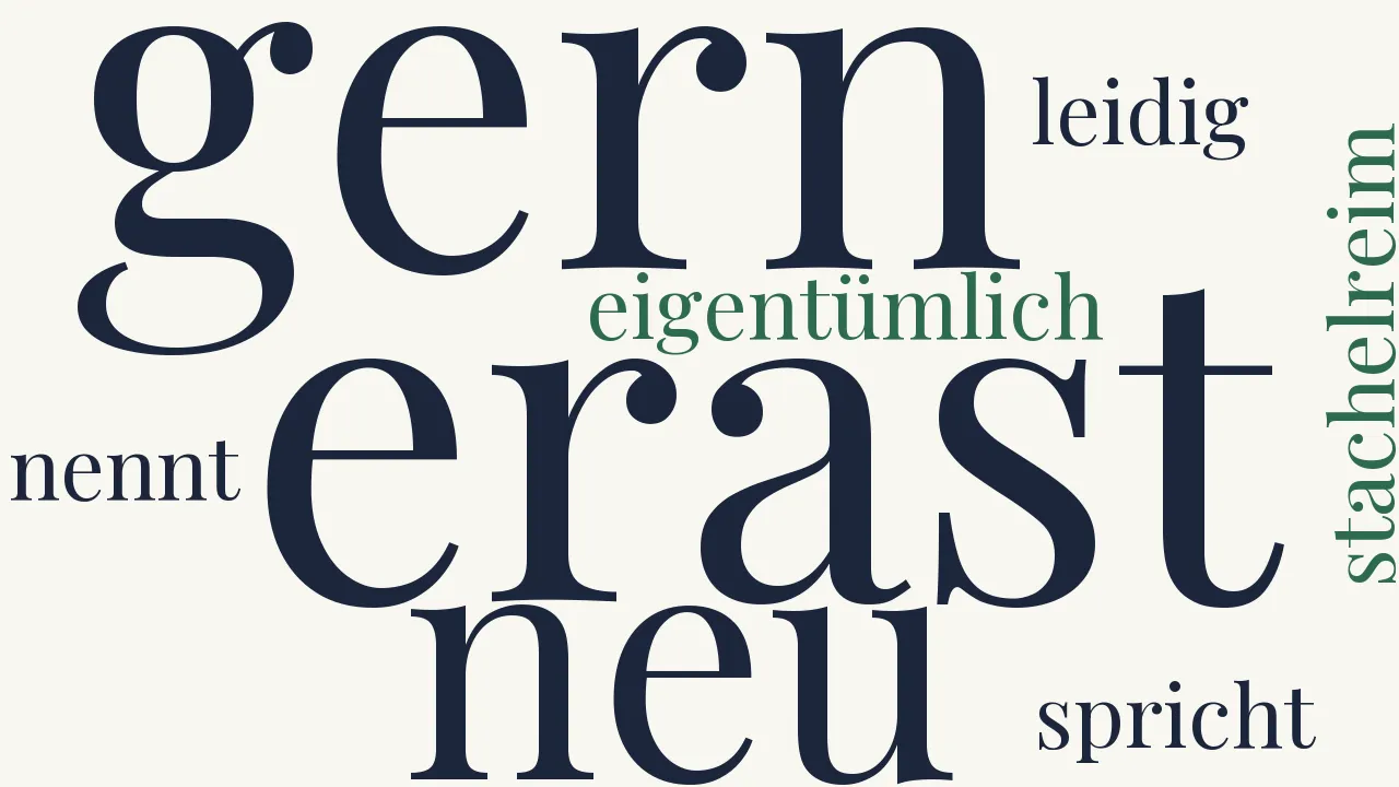 Wortwolke zu Der Stachelreim