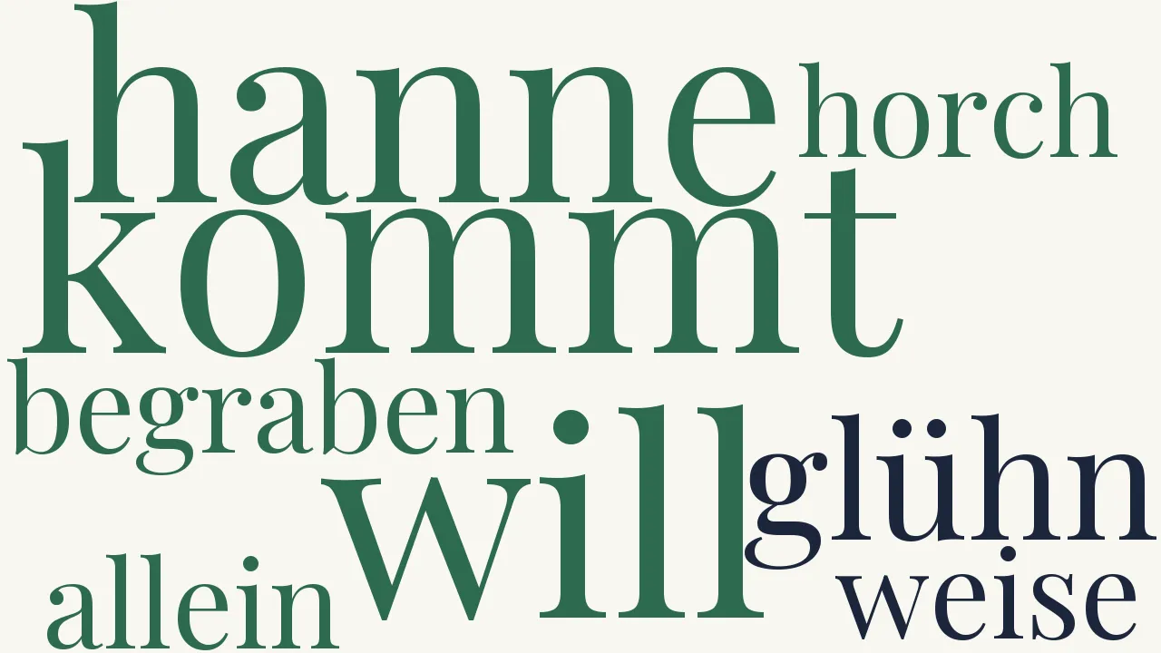 Wortwolke zu Die Wahnsinnige B.