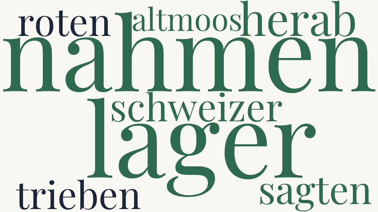 Wortwolke zu Schweizer und Landsknechte