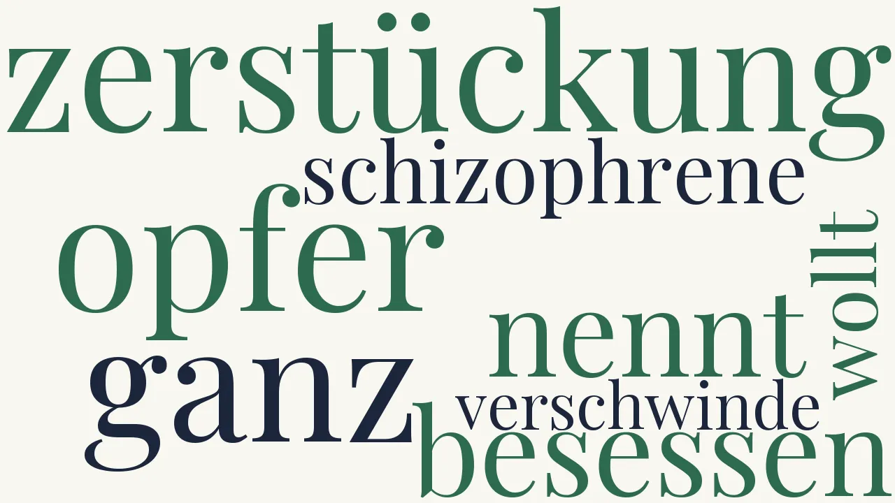Wortwolke zu Der Schizophrene