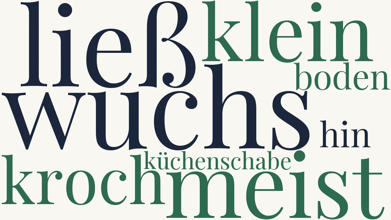 Wortwolke zu Der Lehrer