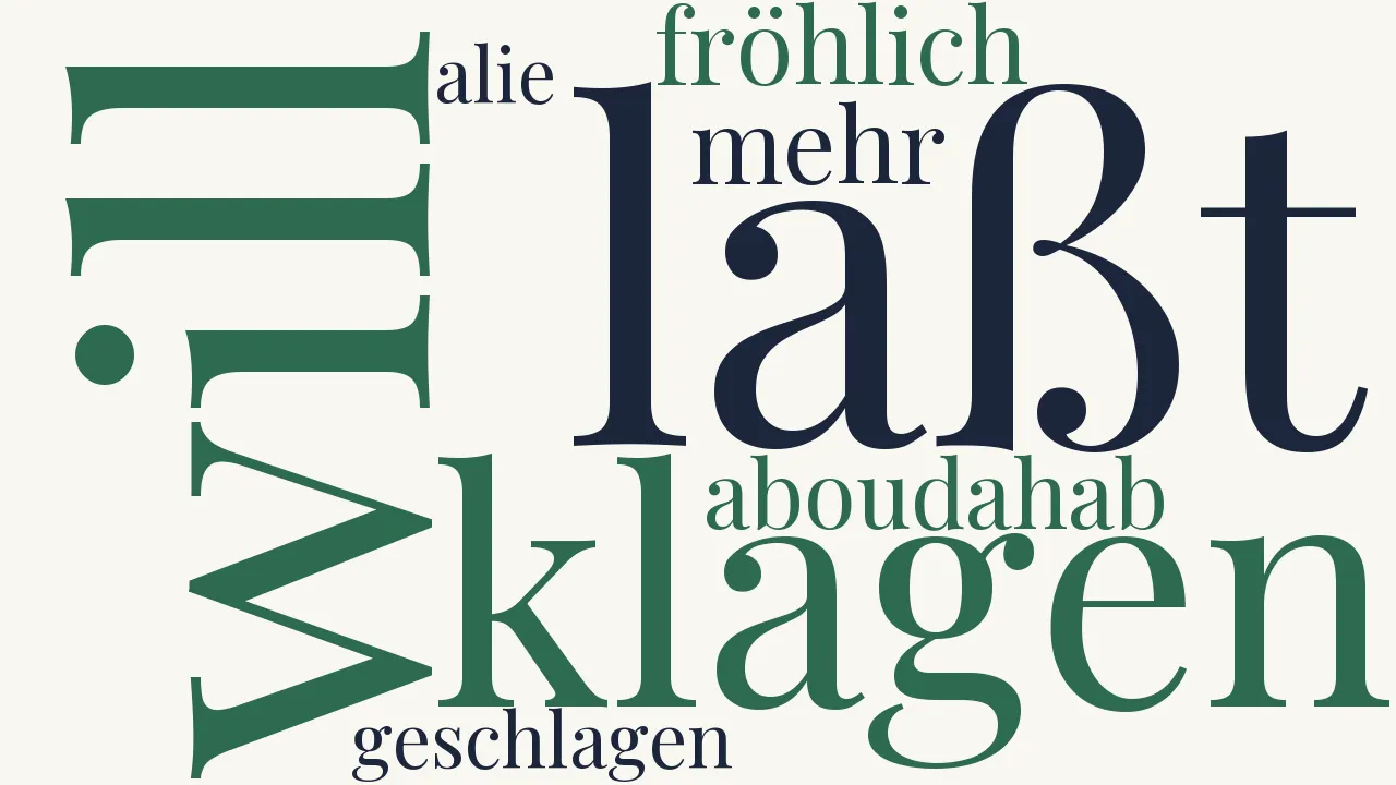 Wortwolke zu Klage um Ali Bey