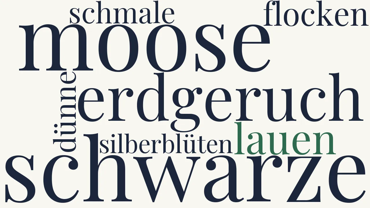 Wortwolke zu Abend