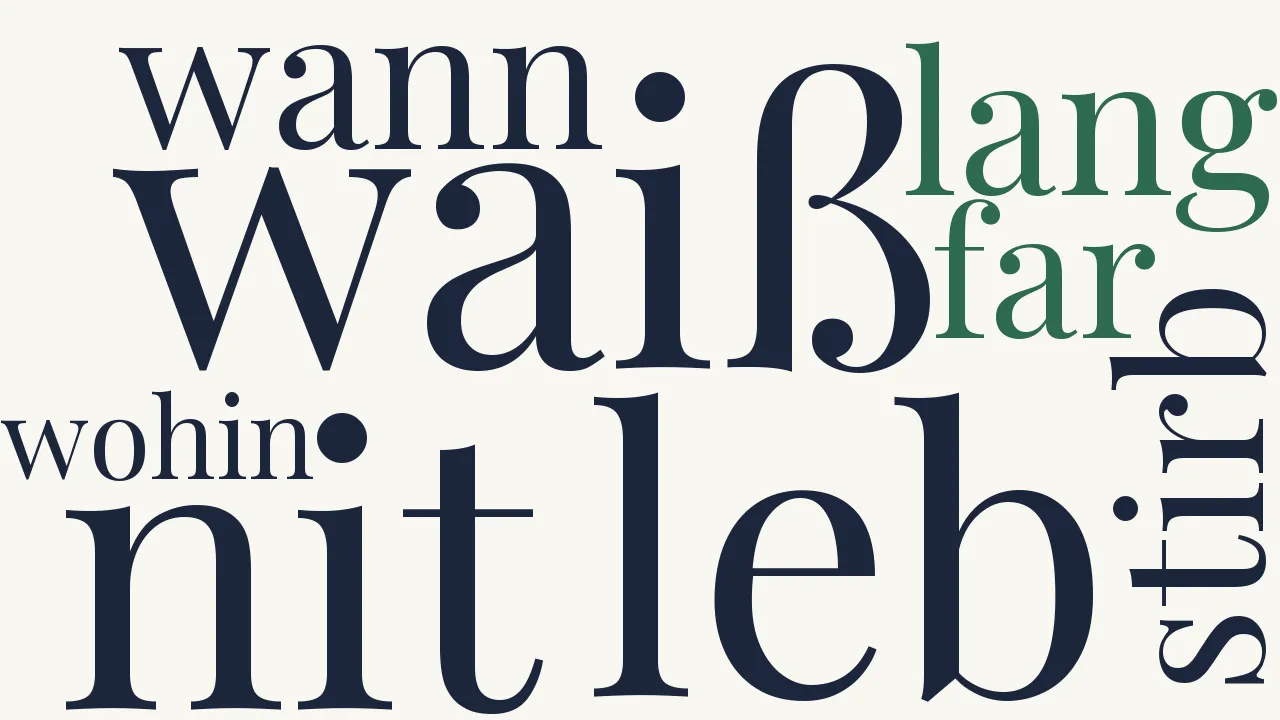 Wortwolke zu Ich leb und waiß nit