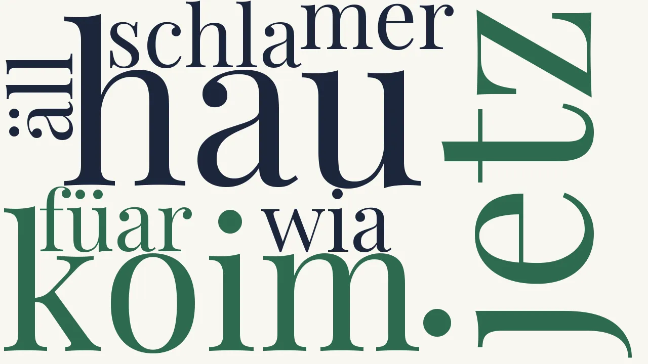 Wortwolke zu Der Dokter