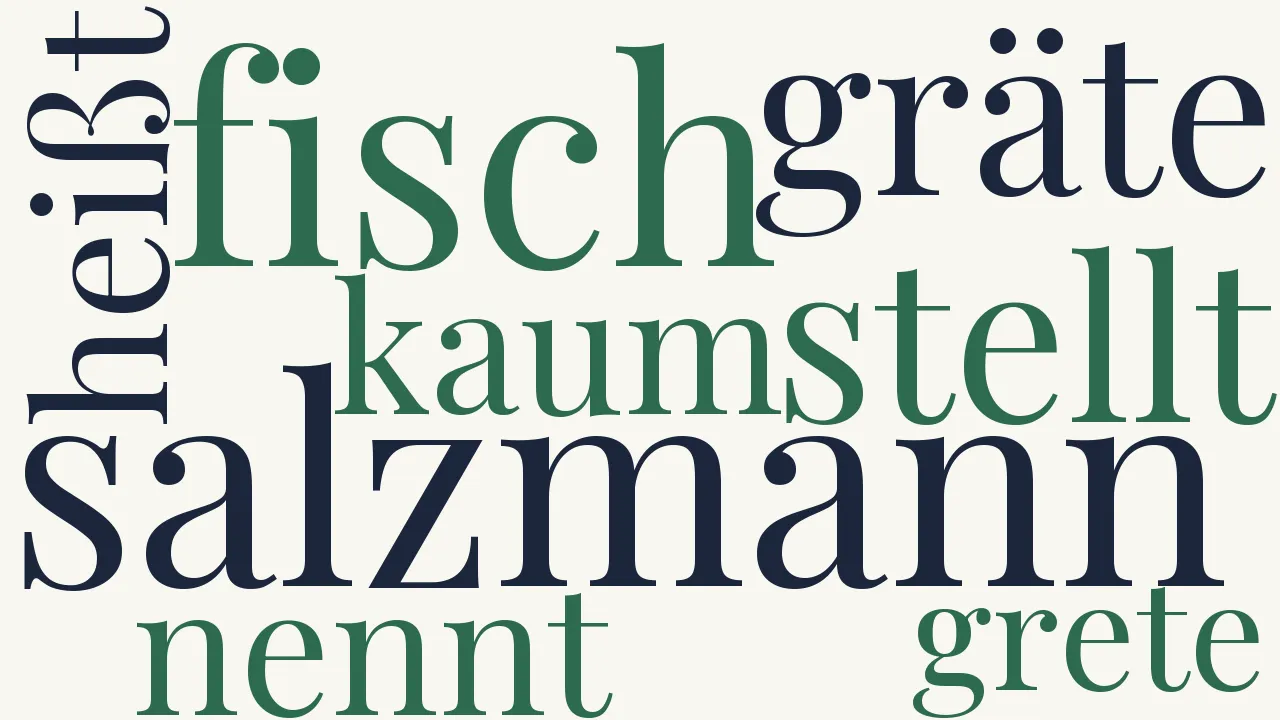 Wortwolke zu Herr Salzmann-Zwei, in Alexandrinern
