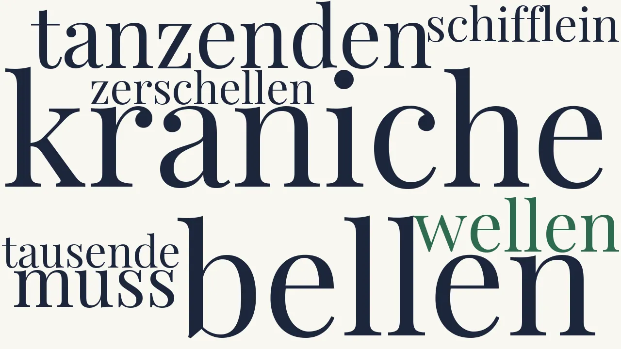 Wortwolke zu Seenot
