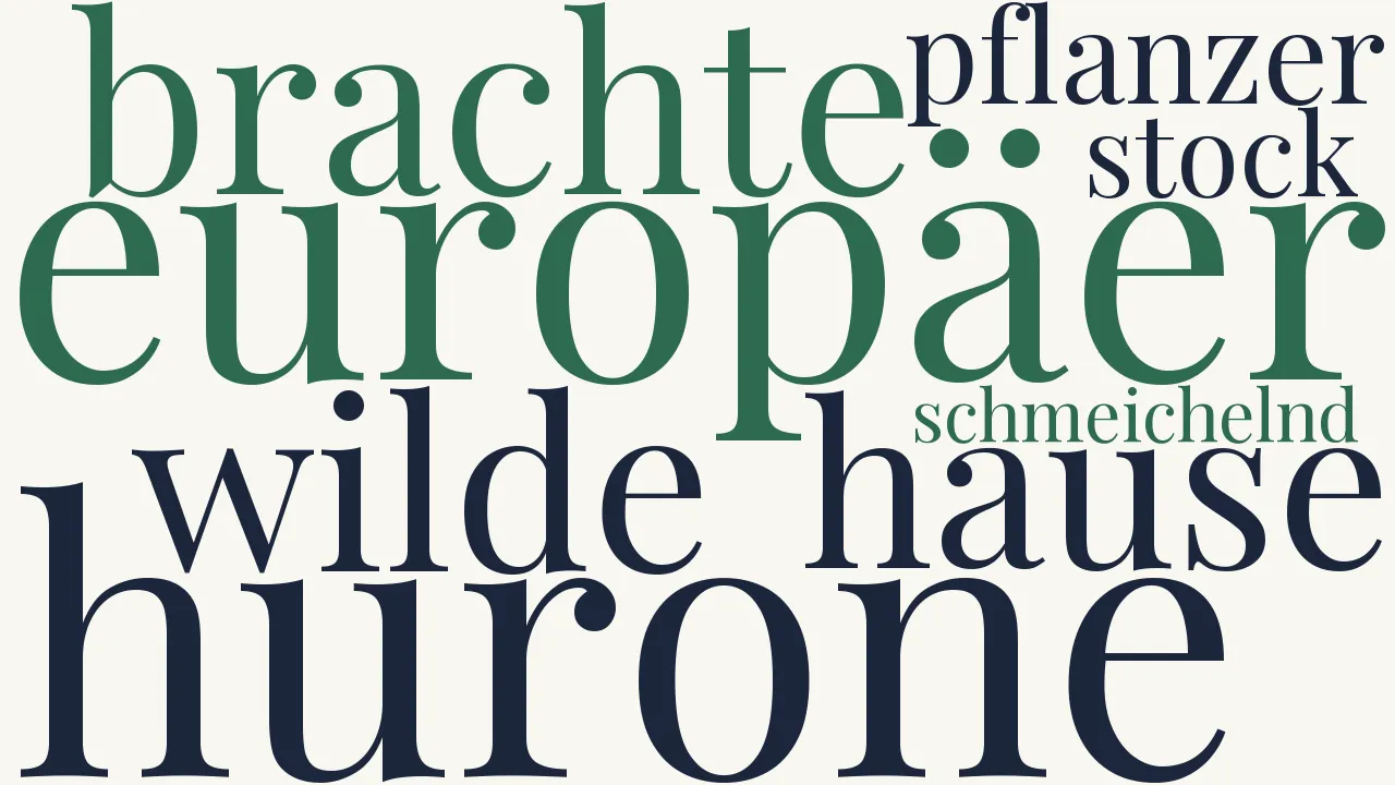 Wortwolke zu Der Wilde