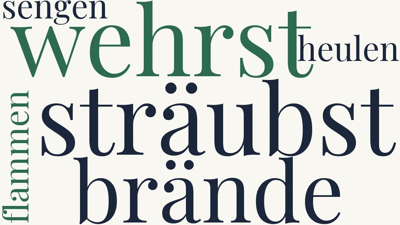 Wortwolke zu Fluch