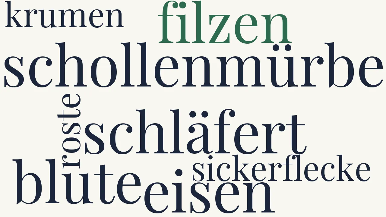 Wortwolke zu Schlachtfeld