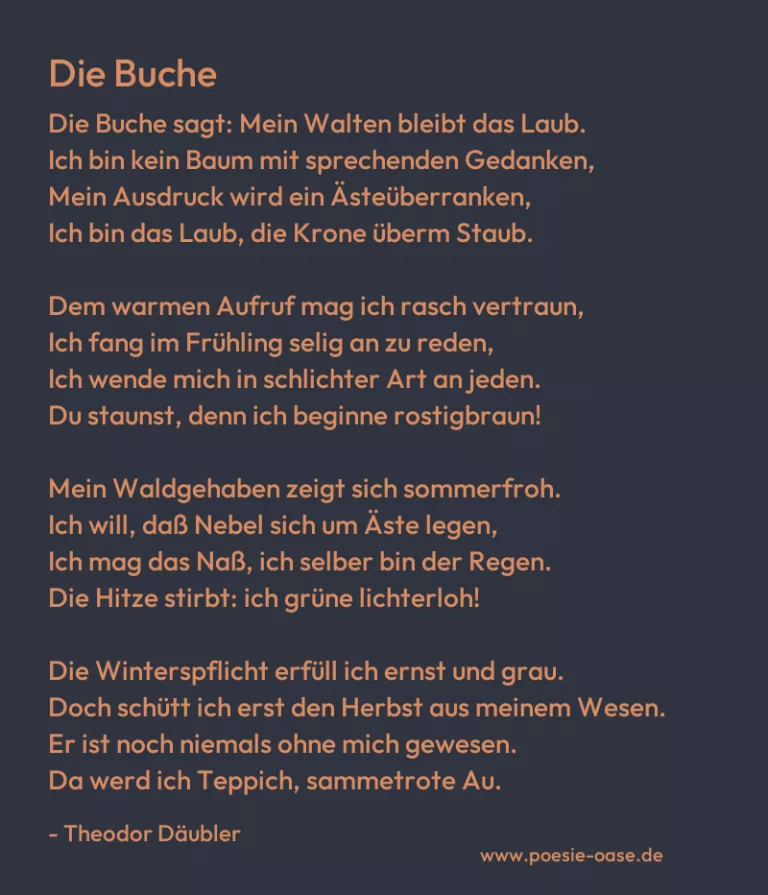 Die Buche