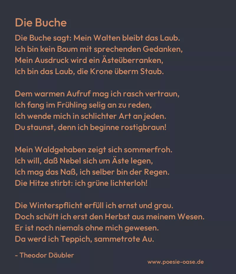 Gedicht: Die Buche von Theodor Däubler