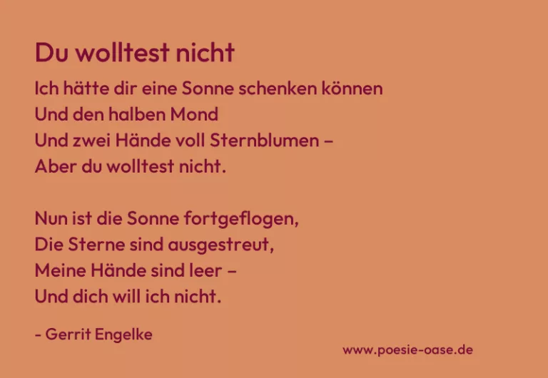 Du wolltest nicht