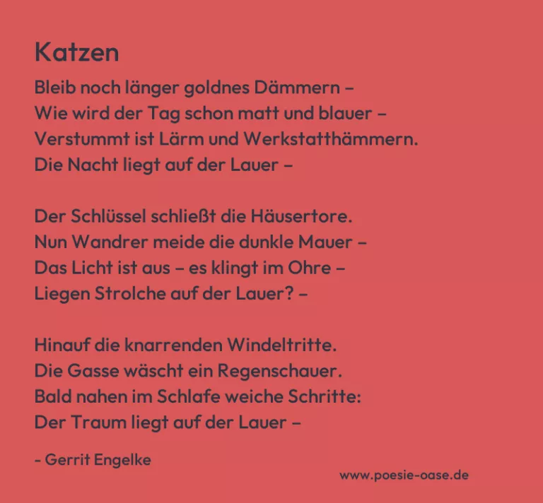 Katzen