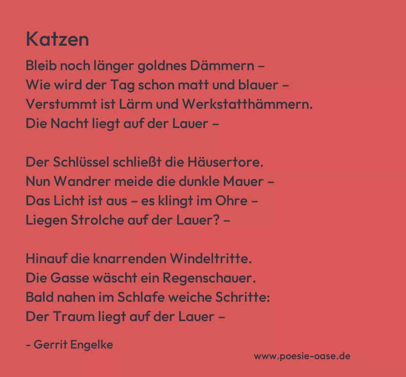 Gedicht: Katzen von Gerrit Engelke