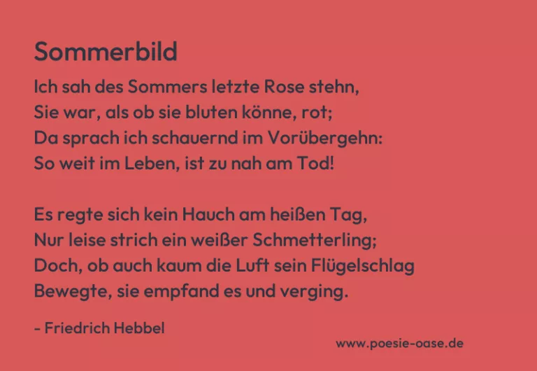 Sommerbild
