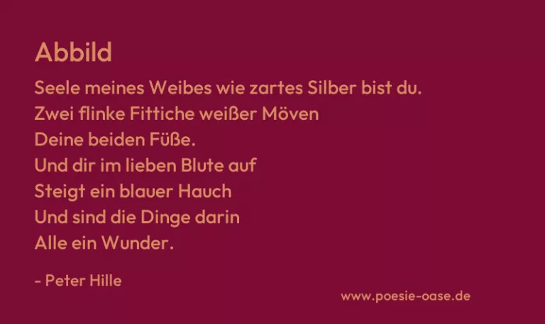 Abbild