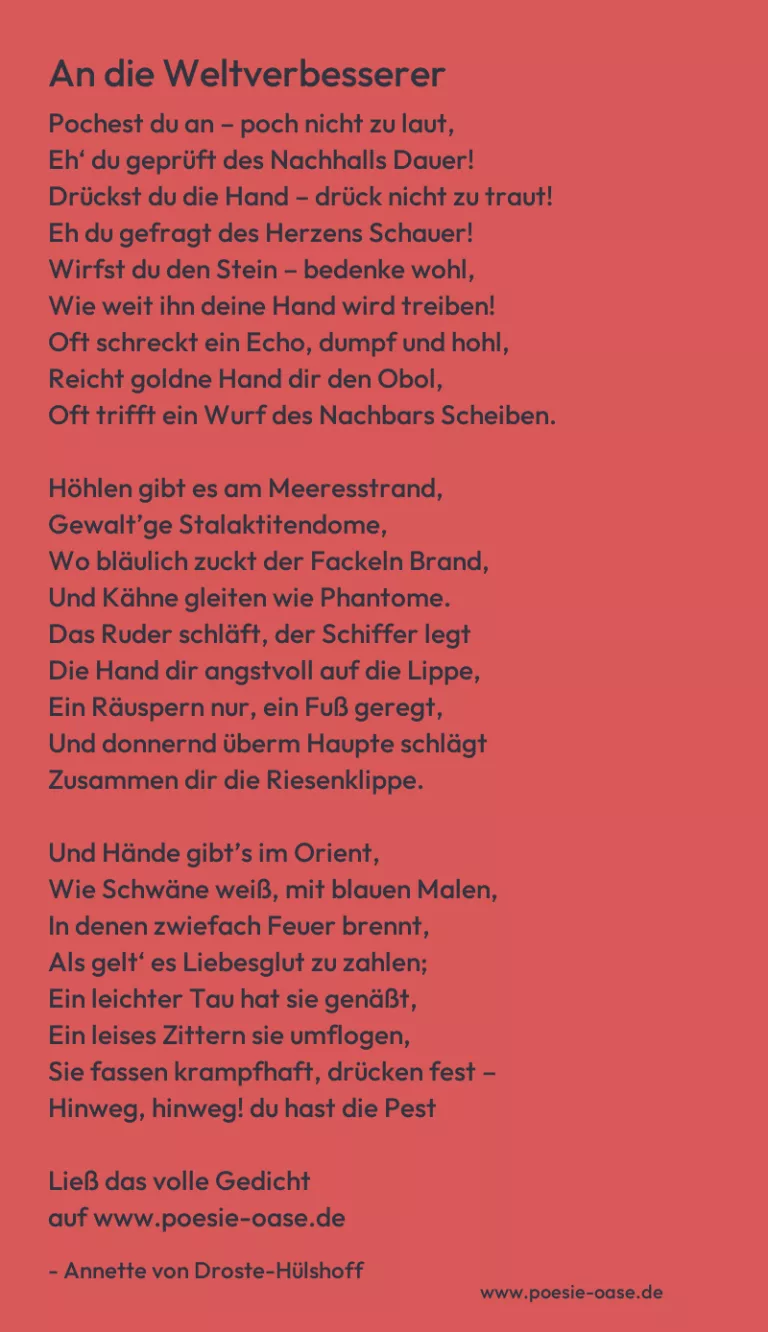 An die Weltverbesserer