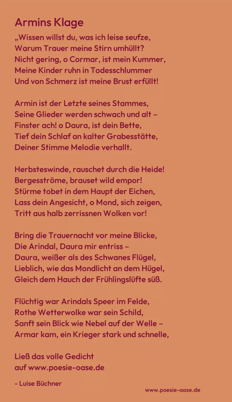 Armins Klage